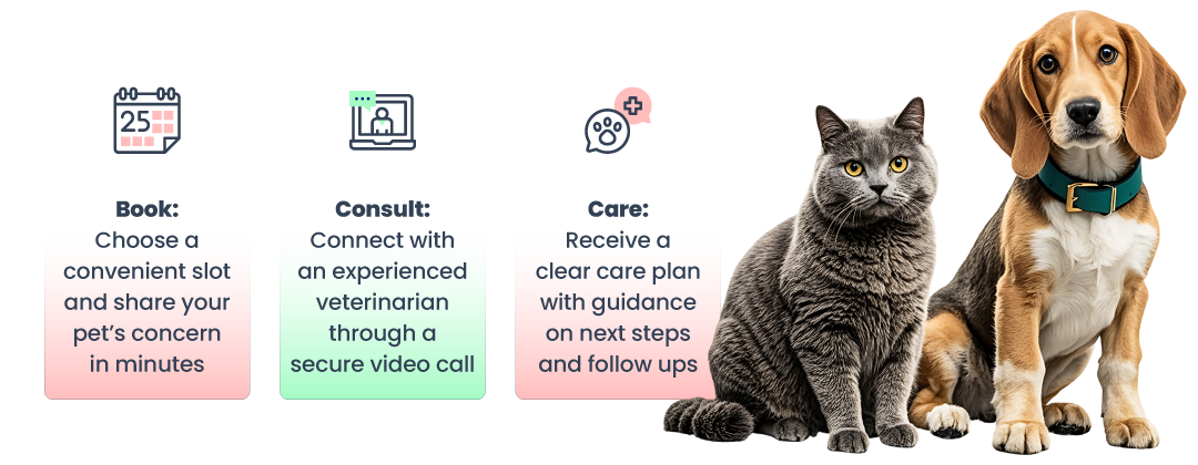 booking a veterinary diagnostics consult