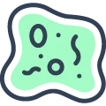 03. Icon - Bacterology